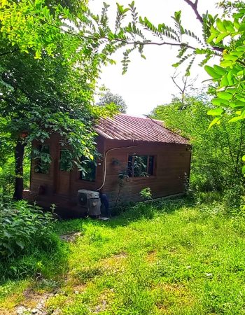 کلبه اکونومی 4 نفره چوبی_نمای بیرونی